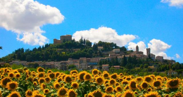 Bertinoro, Best Western Hotel Globus City